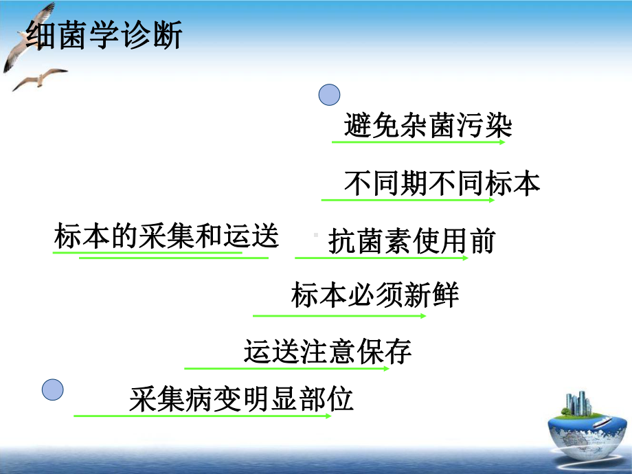 细菌感染的诊断与防治川大课件.ppt_第3页