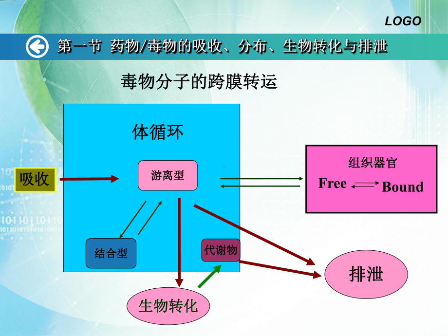 药物毒理学第二讲资料课件.ppt_第3页