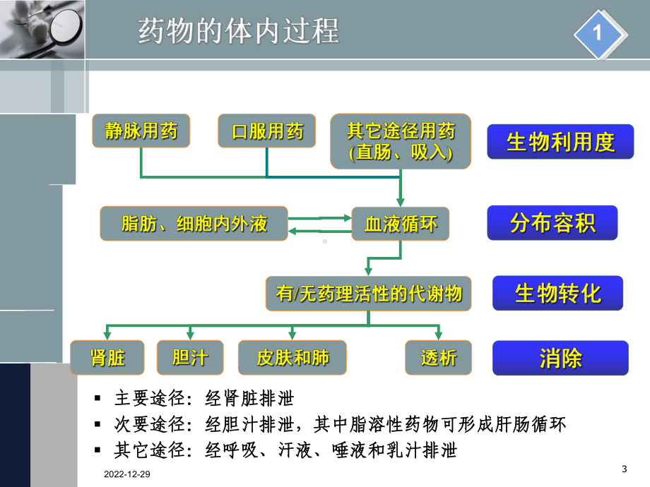 肾功能不全患者的合理用药课件整理.ppt_第3页