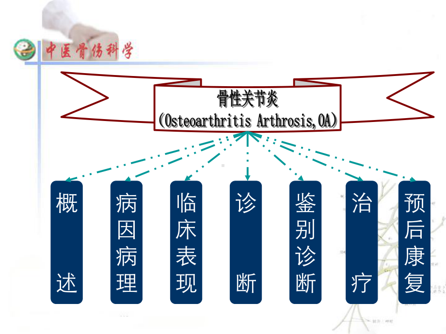 膝骨性关节炎总结课件.ppt_第2页