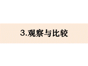 科学课件《观察与比较》课件1.pptx