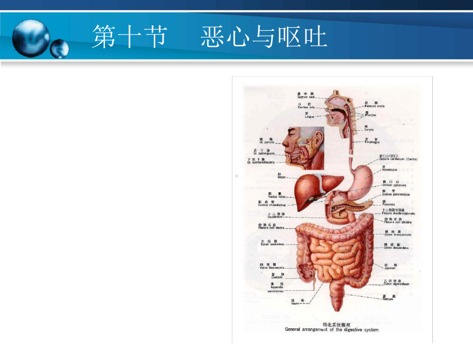 诊断学-恶心呕吐呕血便血腹痛要点课件.ppt_第2页