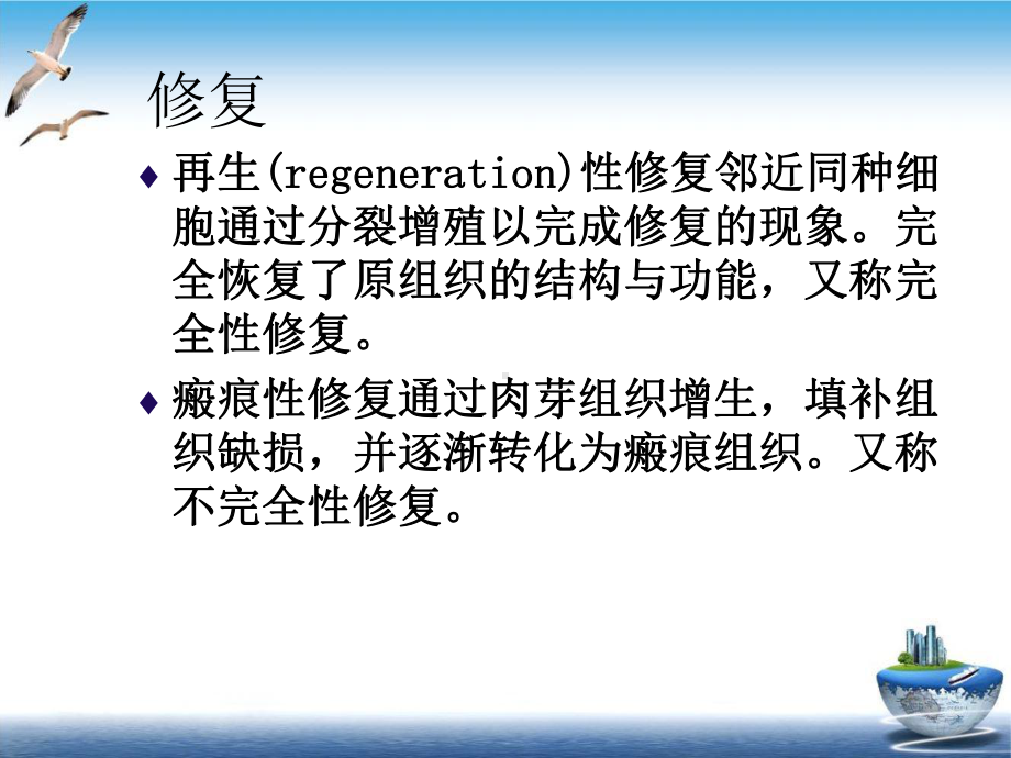 第三章损伤的修复优质课件.ppt_第2页