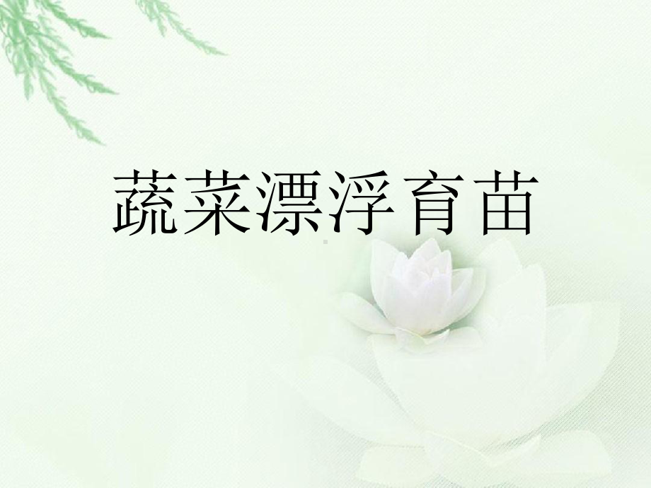 蔬菜漂浮育苗课件.ppt_第1页