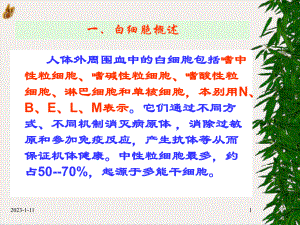 白细胞分类计数及临床意义实用课件.pptx