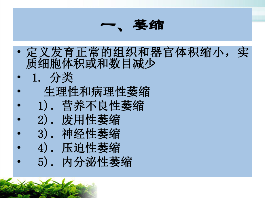 细胞和组织的适应损伤和修复示范课件.ppt_第3页