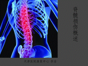 脊髓损伤概述-课件.ppt