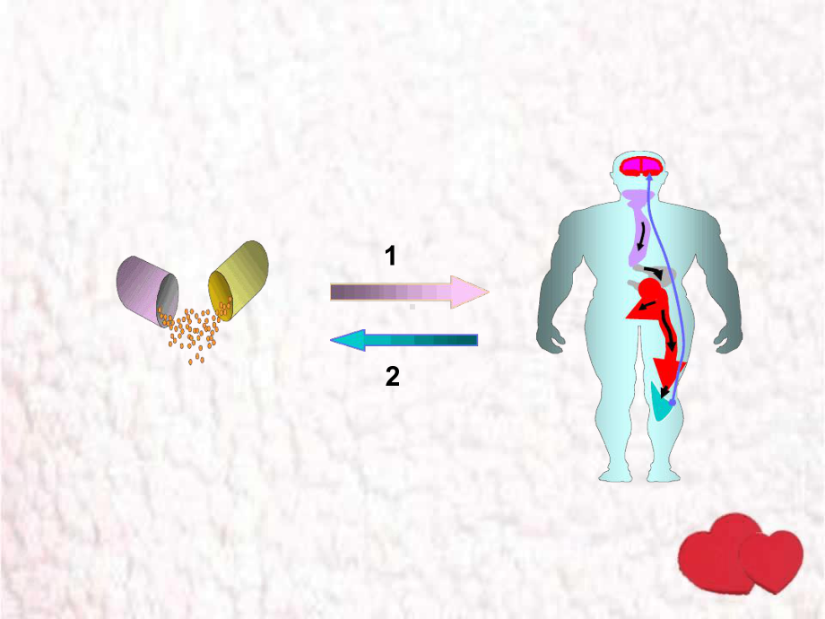 第3章-临床药效学课件.ppt_第2页