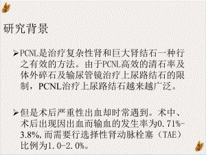 经皮肾镜取石术后迟发性严重出血特点及选择性肾动脉栓塞时机培训课件.pptx