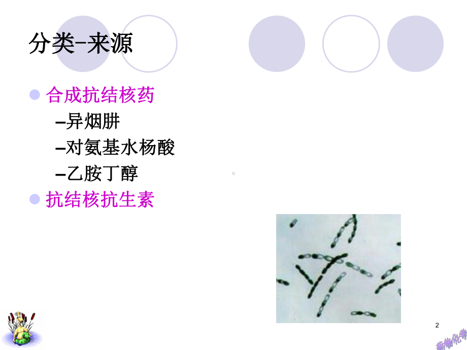 药物化学人卫版第九章抗结核药物课件.ppt_第2页