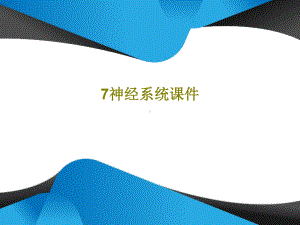 神经系统课件页.ppt