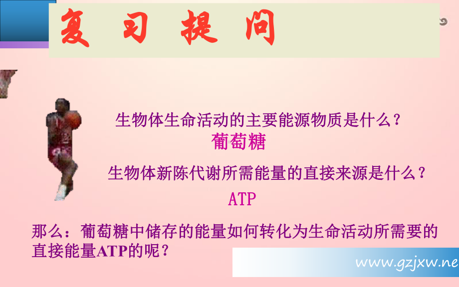 细胞呼吸市优质课件.ppt_第1页