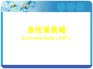 肾功能不全新版课件.ppt