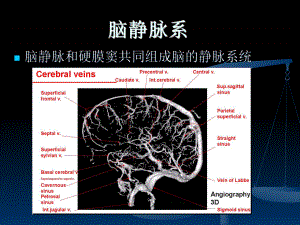 脑血管解剖(脑静脉系)课件.ppt