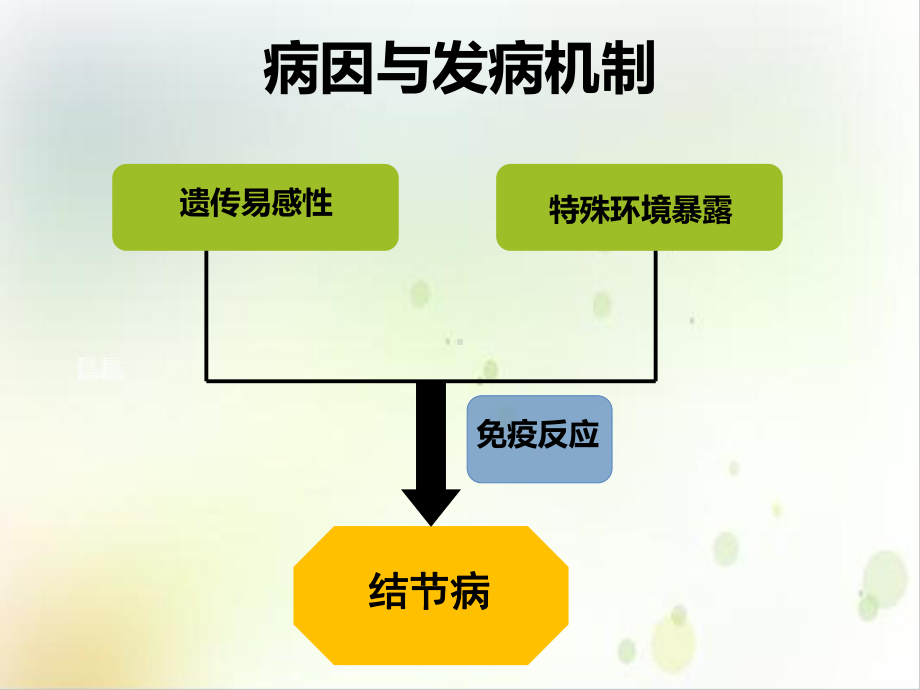 结节病发病机制及诊治进展培训讲义课件.ppt_第3页