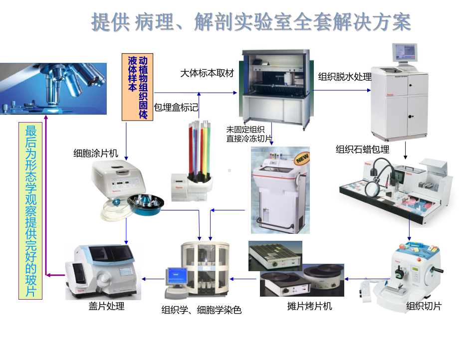 病理实验工作流程中需要的设备课件.pptx_第1页