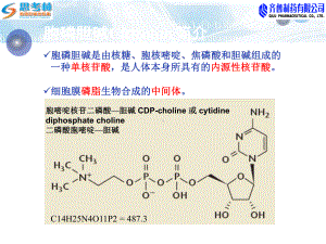 胞磷胆碱(思考林)在脑外科的应用课件.ppt