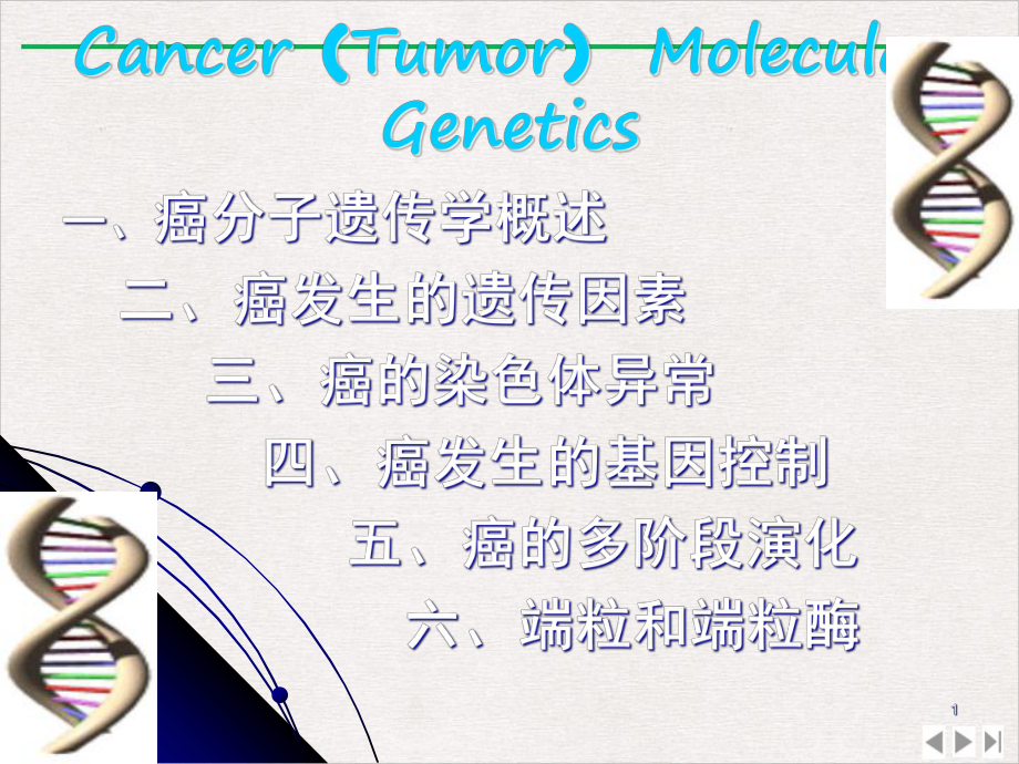 癌肿瘤遗传学优质课件.pptx_第1页