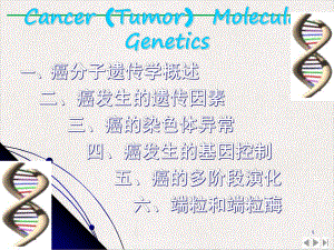 癌肿瘤遗传学优质课件.pptx