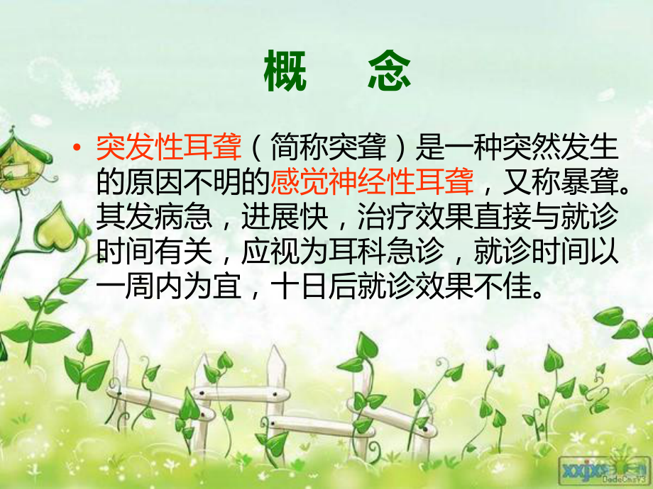 突发性耳聋的护理查房课件整理.ppt_第2页