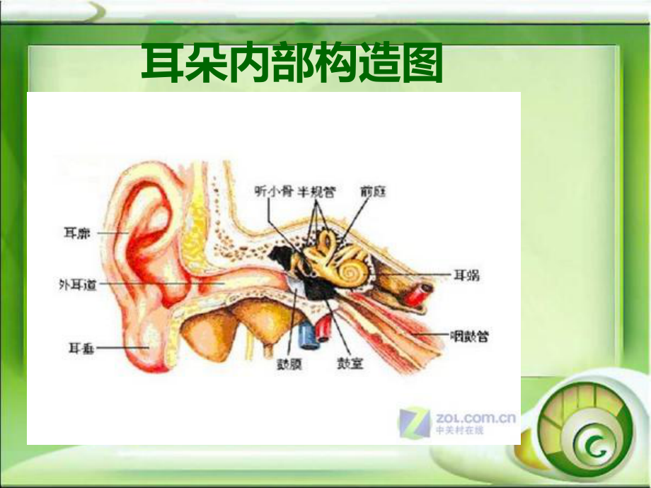 突发性耳聋的护理查房课件整理.ppt_第3页