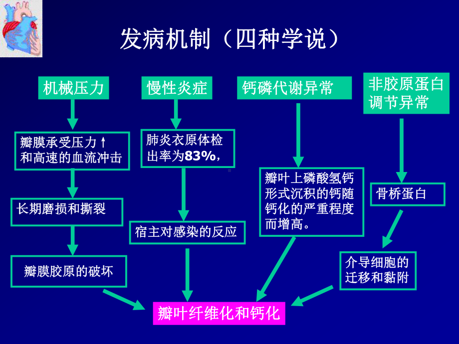 老年退行性瓣膜病的治疗策略课件.ppt_第3页