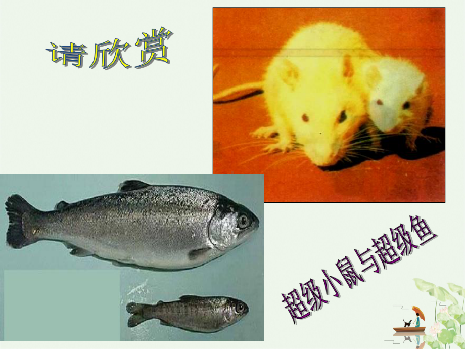 苏教版高中生物选修三-重组DNA分子的模拟操作课件.pptx_第2页