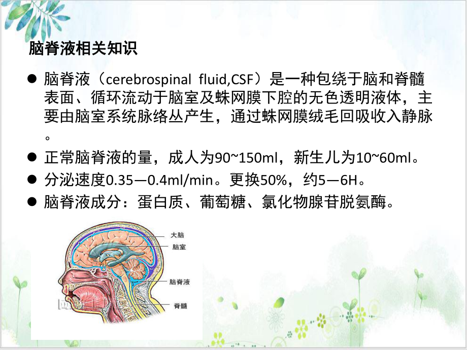 经鼻内镜下脑脊液修补术护理培训讲义课件.ppt_第3页