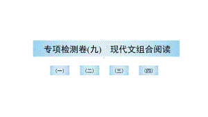 （部）统编版八年级上册《语文》期末复习 专项检测卷（九）现代文组合阅读 讲练ppt课件.pptx