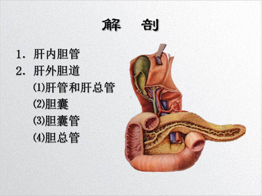 胆道疾病优质课件.ppt_第3页