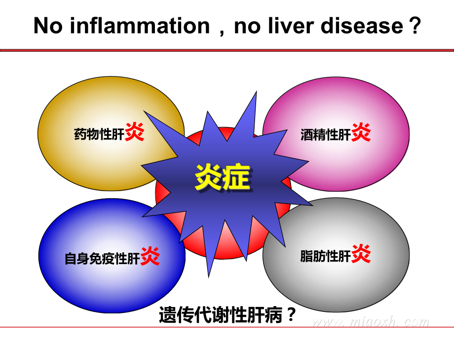 肝脏炎症诊治课件.ppt_第2页