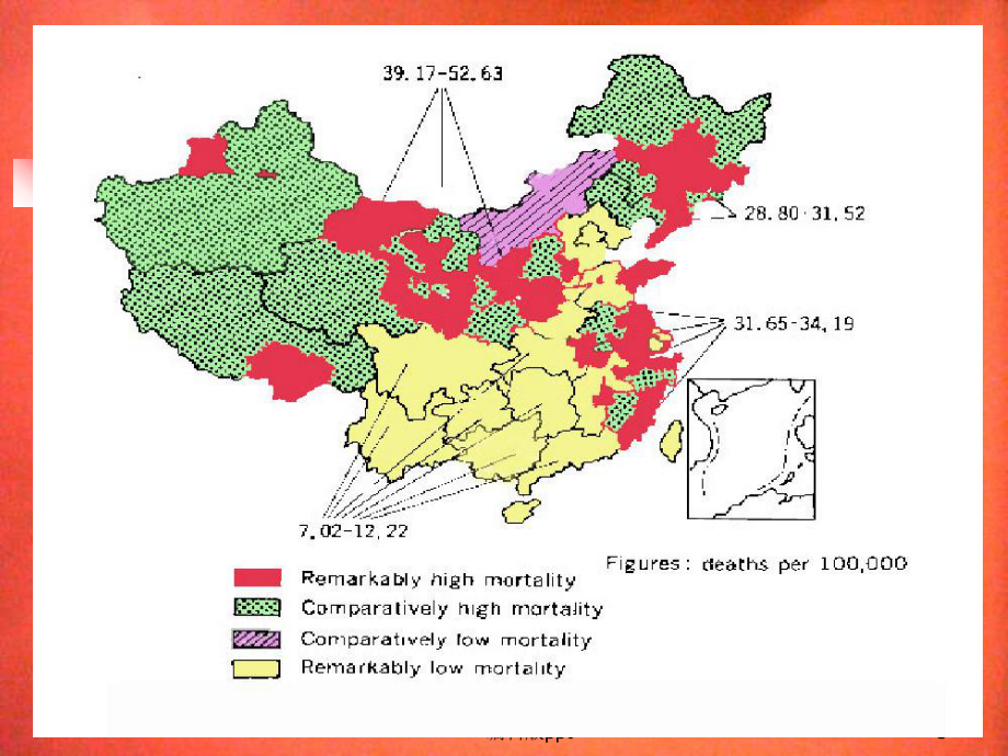 胃癌教学课件整理.ppt_第3页