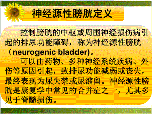 神经源性膀胱护理课件(同名104).pptx