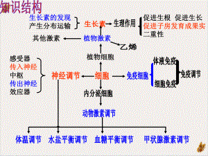 神经体液免疫调节课件.pptx