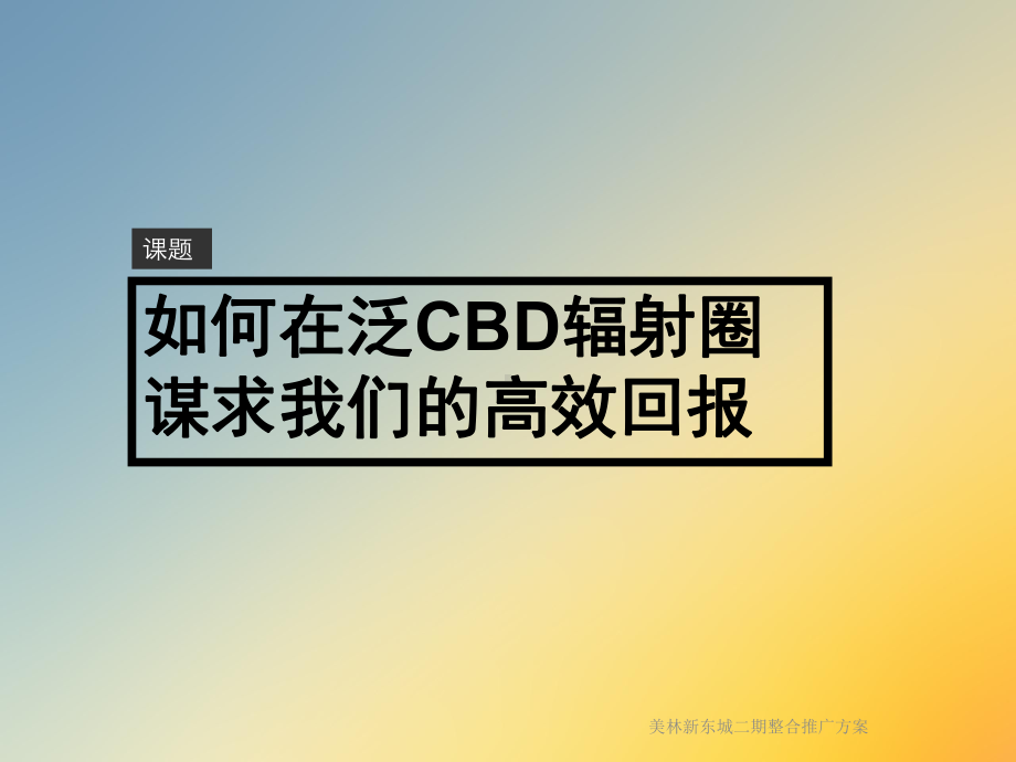 美林新东城二期整合推广方案.ppt_第2页