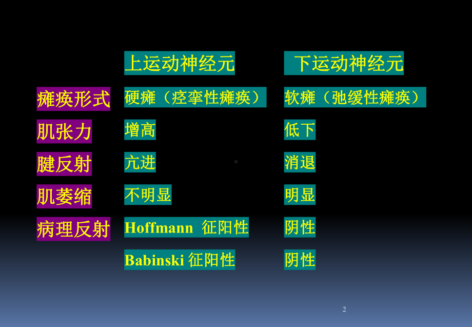 神经系统病例分析示例课件.ppt_第2页