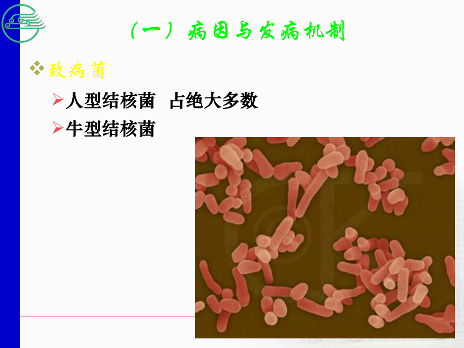 肠结核及结核性腹膜炎病人的护理课件.ppt_第3页