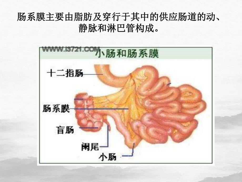 肠系膜病变影像诊断优质2课件.ppt_第2页