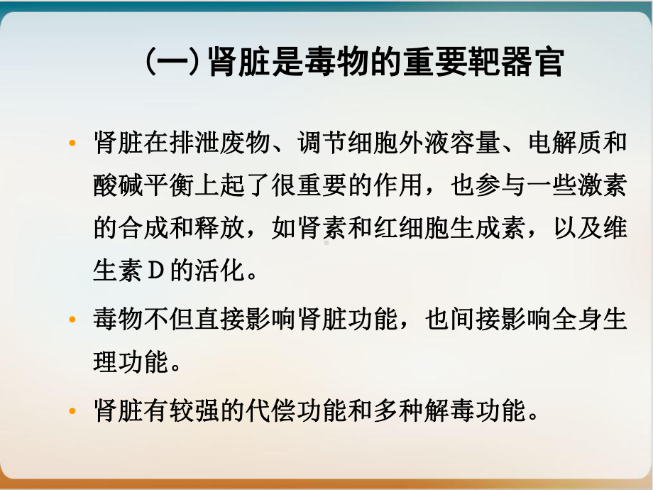 肾脏毒理学课件.ppt_第3页