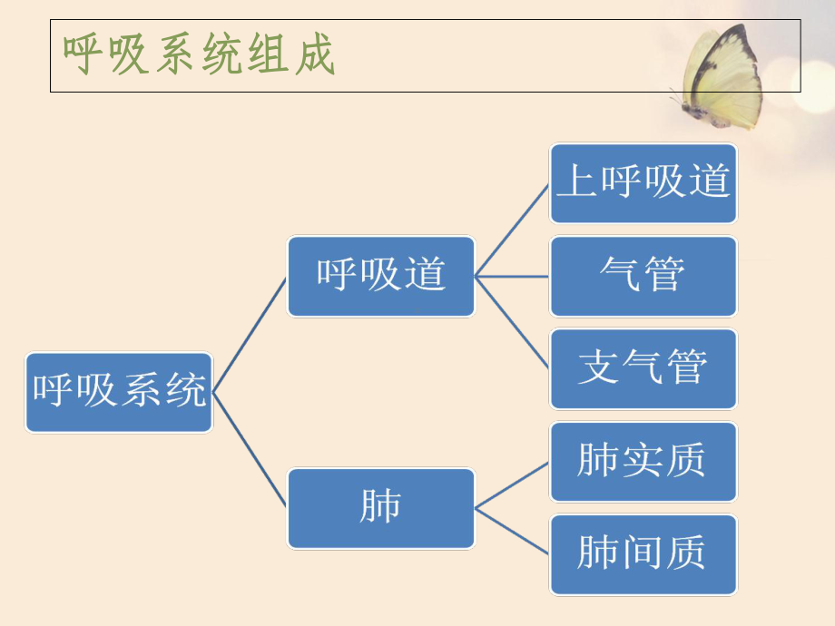 肺功能检查的操作流程目的及注意事项介绍实用课件.ppt_第3页