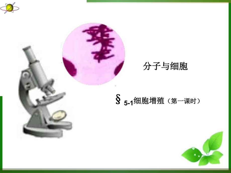 细胞增殖(第一课时)课件.ppt_第1页