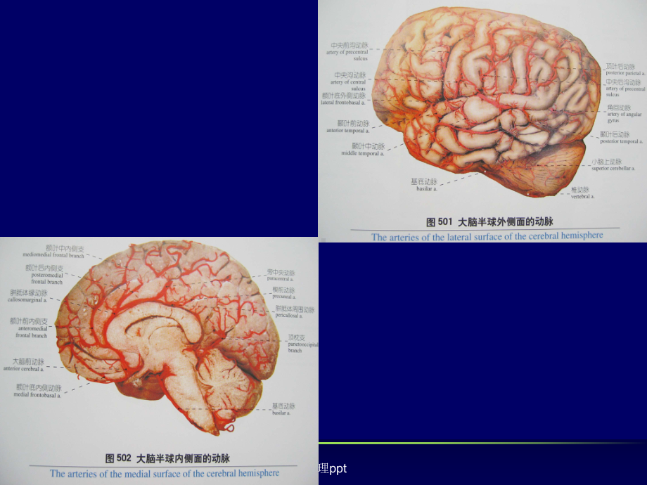 老年痴呆的诊断与治疗课件.ppt_第2页