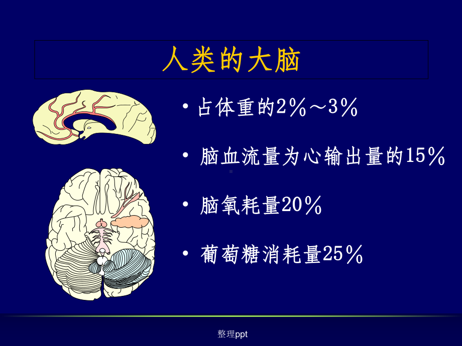 老年痴呆的诊断与治疗课件.ppt_第3页