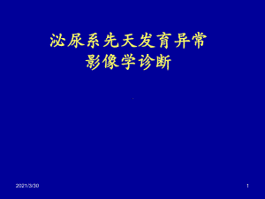 肾脏先天发育异常影像学诊断模板课件.ppt