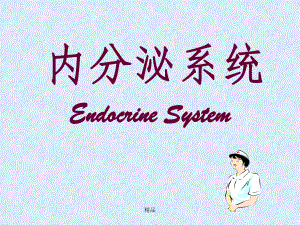 组织学与胚胎学华西课件14内分泌系统.ppt