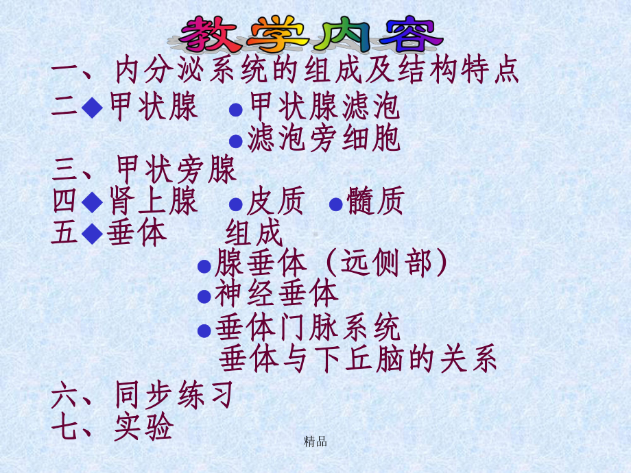 组织学与胚胎学华西课件14内分泌系统.ppt_第3页