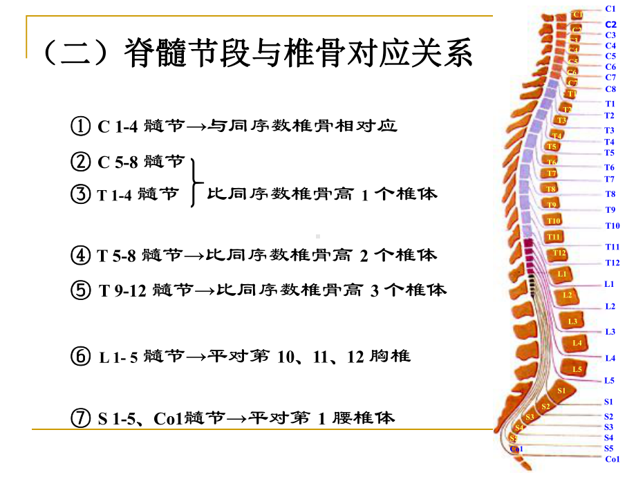 第六章急性脊髓创伤课件.ppt_第3页