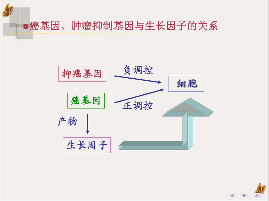 癌基因肿瘤抑制基因与生长因子课件.pptx_第1页