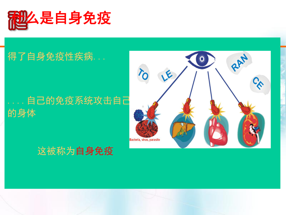 自身免疫诊断产品市场介绍课件.ppt_第3页