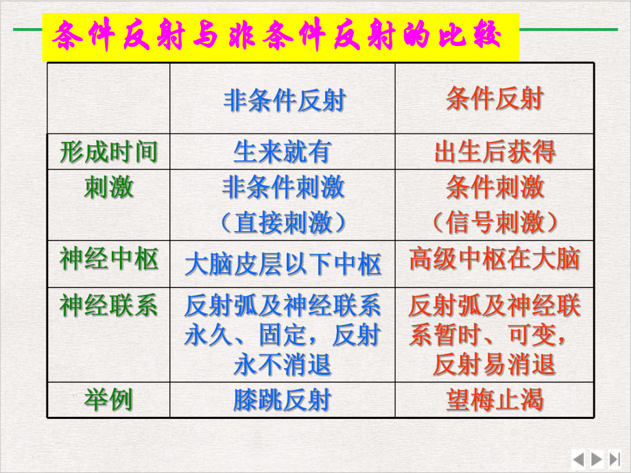 神经系统的结构和功能3最新版课件.pptx_第3页